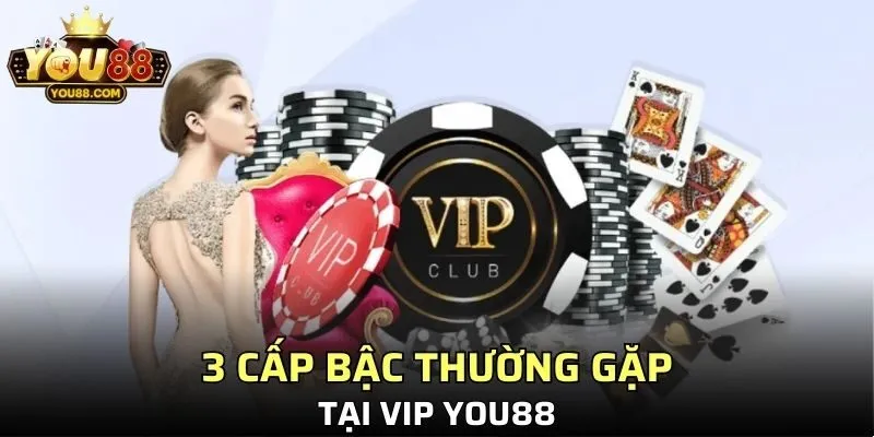 3 cấp bậc thường gặp tại VIP YO88
