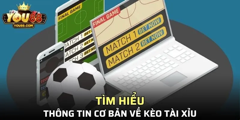 Khái quát thông tin về kèo