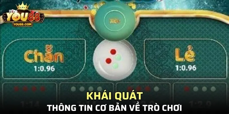 Tìm hiểu thông tin cơ bản