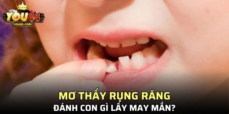 YO88 tổng hợp thông tin sổ mơ ngắn gọn và cực kỳ dễ hiểu
